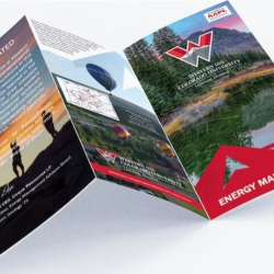 Brochure, Rack Card, Business Card, Invite Design