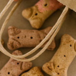 Pet Food Pantry