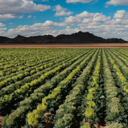 Health & Garden Programs