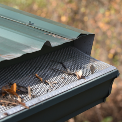 Leaf Guards