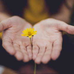 Healing Path Program