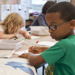 Educational Consultation