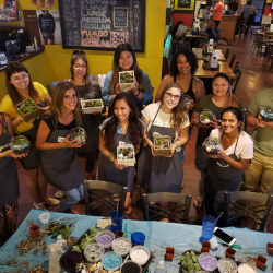 Social Skills Groups