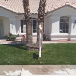 Drip Irrigation Installation & Repair