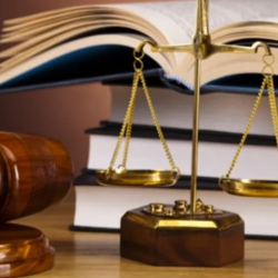 Expert Witness