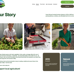 Website Design