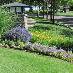 Mulch & Weed Control