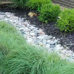 Grading & Drainage