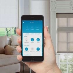 Lutron Electric Shades