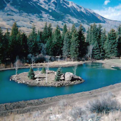 Ponds, Tanks & Water