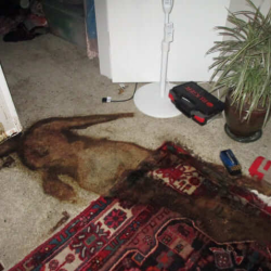 Decomposition Cleanup