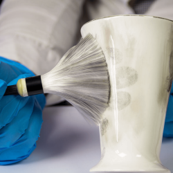 Fingerprint Dust Cleanup