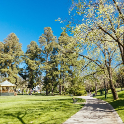 Location in Woodland Park