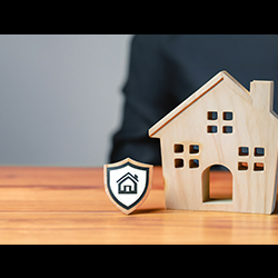 Homeowner Protection Plans