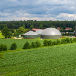 Renewable Natural Gas