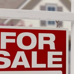 Property Listings