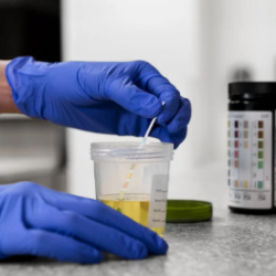 Drug Test