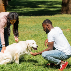 Pet-Friendly Policy