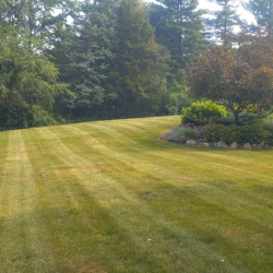 Mulch/stone & Flower Bed Maintenance