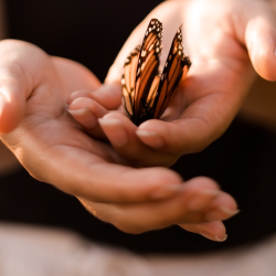 Past Abortion Care and Education