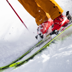 Ski Boot Brand