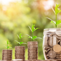Evaluate & Establish Your Accounting