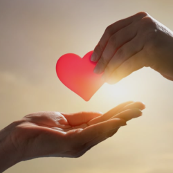 Additional Services & Fees