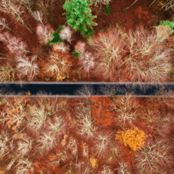 Full-Service Wealth Management