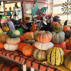 Pumpkins