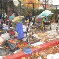Homeless Encampment