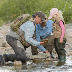 Guided Walk-Wade Fishing Trips