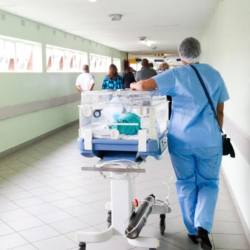 Life and Health Insurance