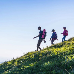 Hike Rental