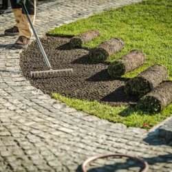 Landscaping