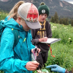 Pathways Program