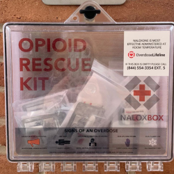 NaloxBox