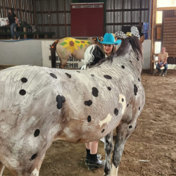4-H Stall Reservation