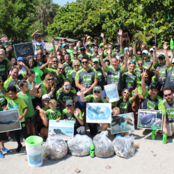 Travel & Sustainability