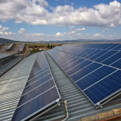 Business Process Services