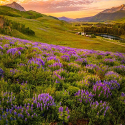 Photography Hikes and Workshops