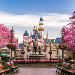 Theme Parks & More