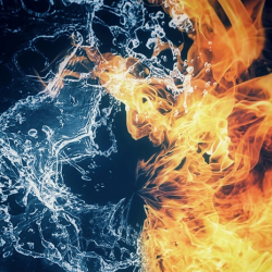 Reserve Online Today