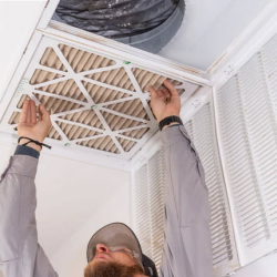 Home Air Purification Systems