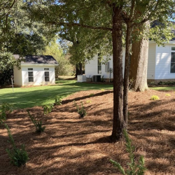 Nutrient and Soil Management