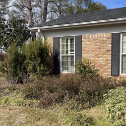 Disease, Insect and Weed Control