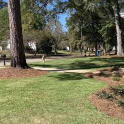 Natural Resource Management