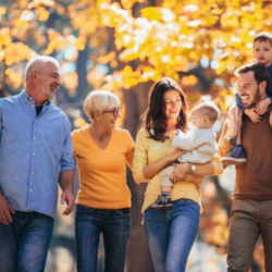 Insurance Solutions