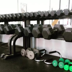 Free Weights