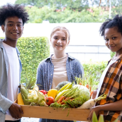 Children Nutrition Services