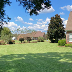 Turf Installation and Management